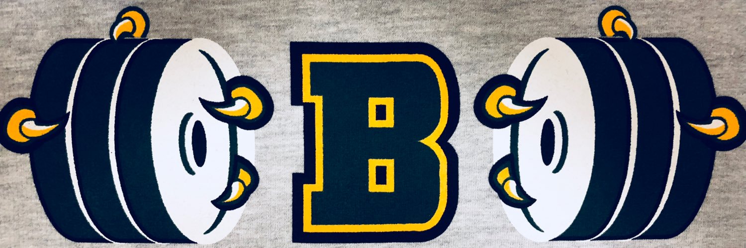 Ray Irish banner