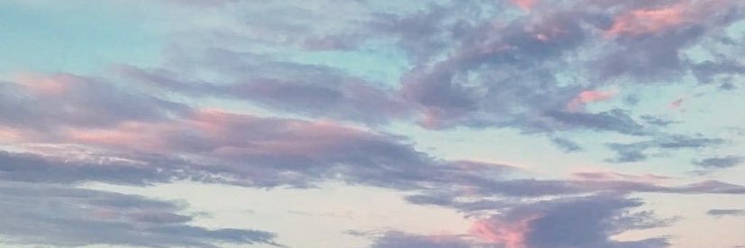 taylorastell's profile banner image