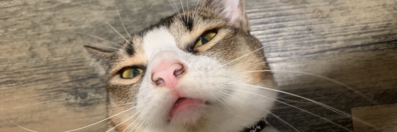 seevey's profile banner image