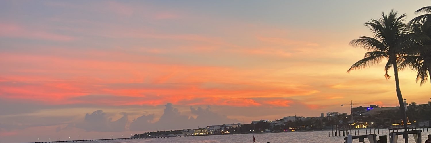 snandreaa's profile banner image