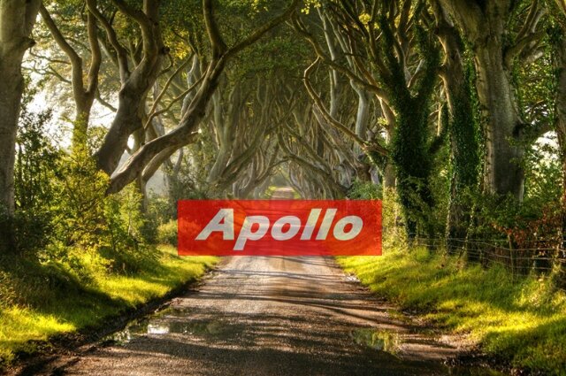 ApolloBrandBali's profile banner image