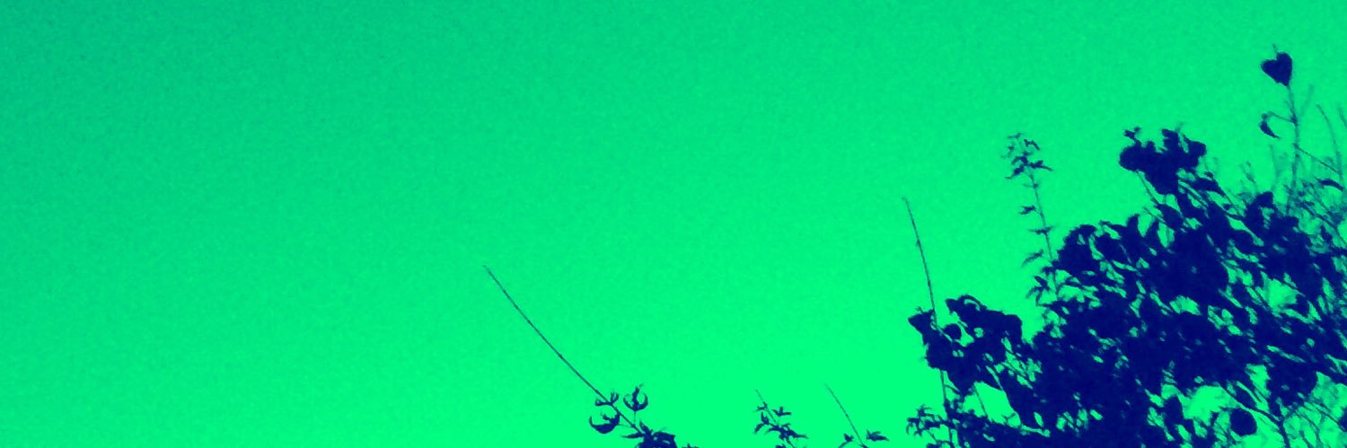 ライライ二世rx banner