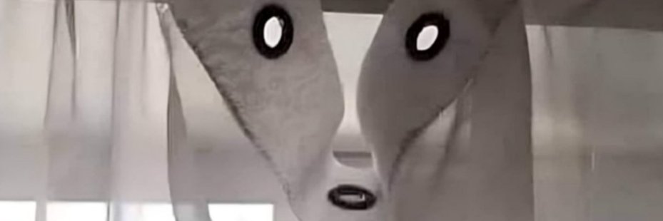 0XBION's profile banner image