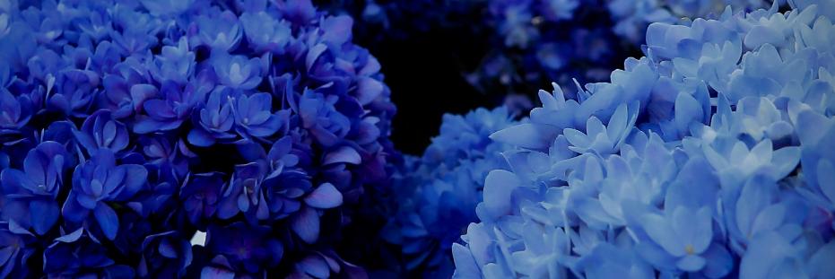 takada_jun's profile banner image