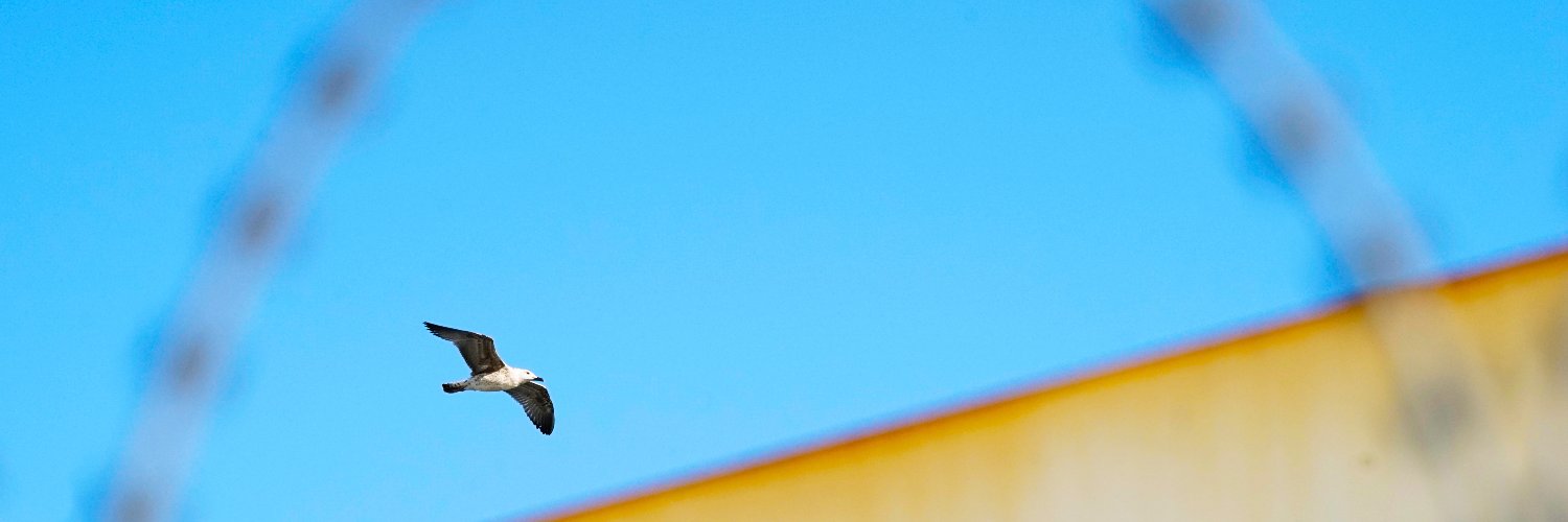 josder's profile banner image