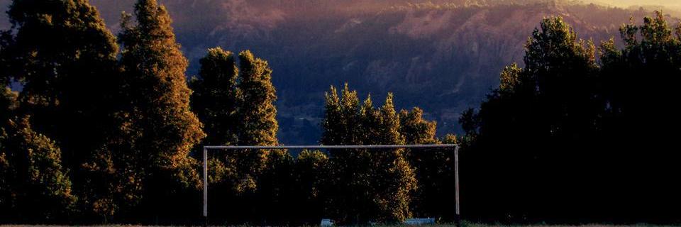 Juli favre banner