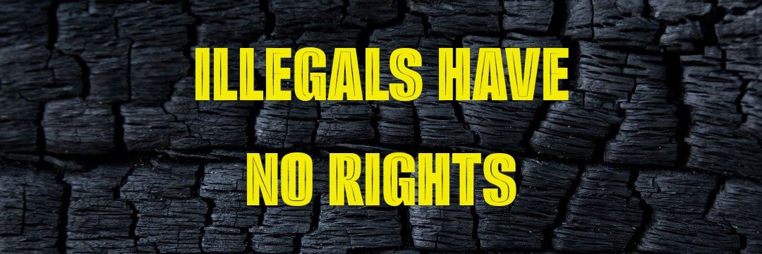 Whistling Dixie 🇺🇸 LOCKED=BLOCKED banner