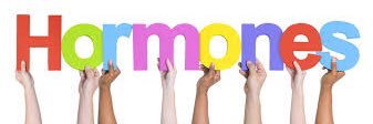 Hormones pills 🏨💉💊🩺 banner