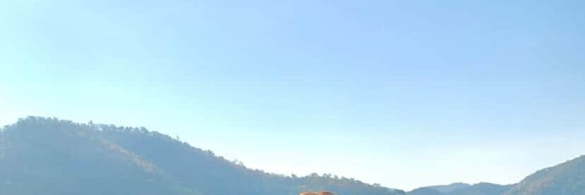 𝒏.𝒆𝒓𝒂 banner