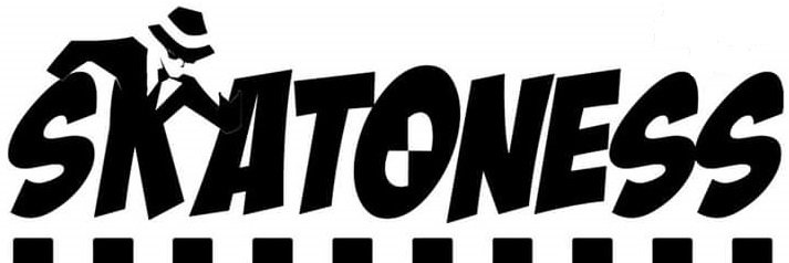 skatoness's profile banner image