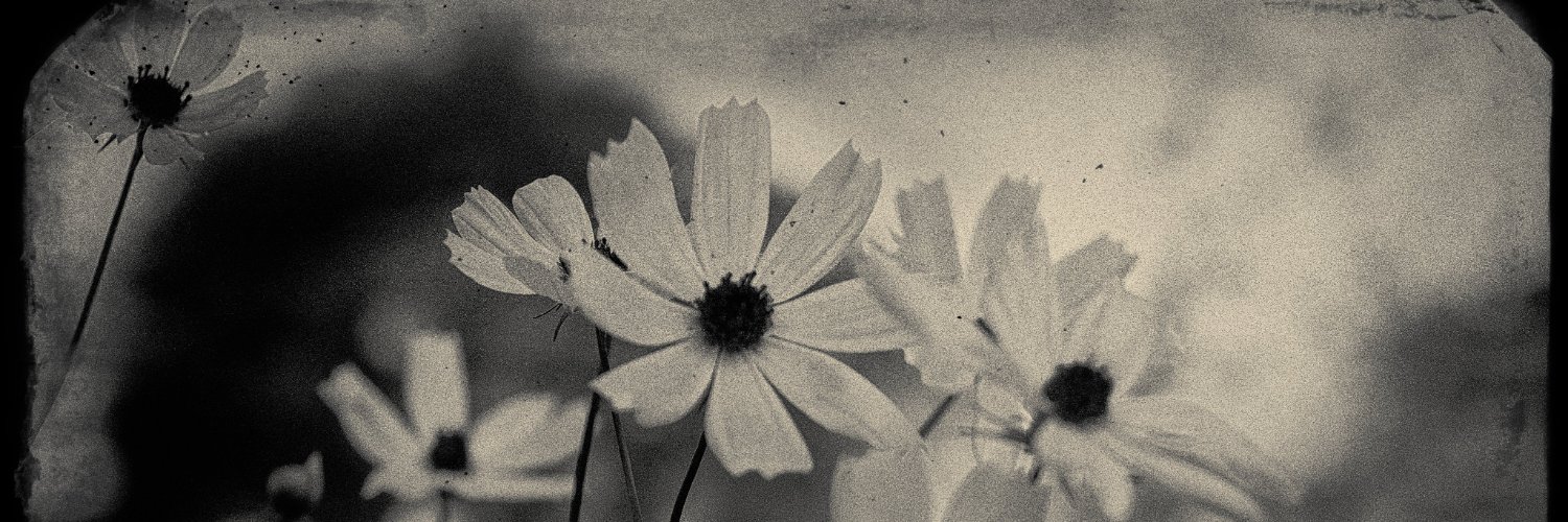 KAZPRSKI's profile banner image