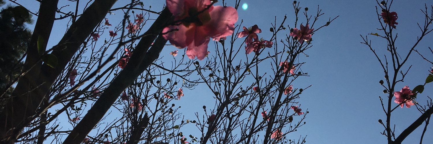 腰i痛 banner