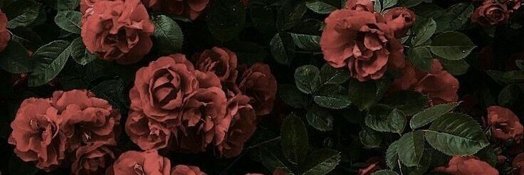 BrendaDSilva_'s profile banner image
