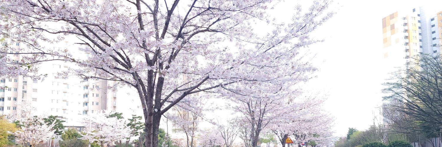 소미로 banner