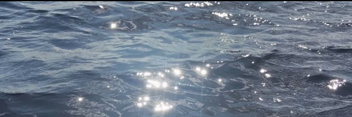 auroraa0000's profile banner image