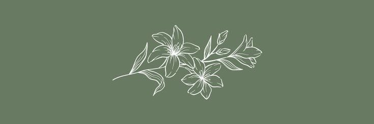AmrysDiary's profile banner image
