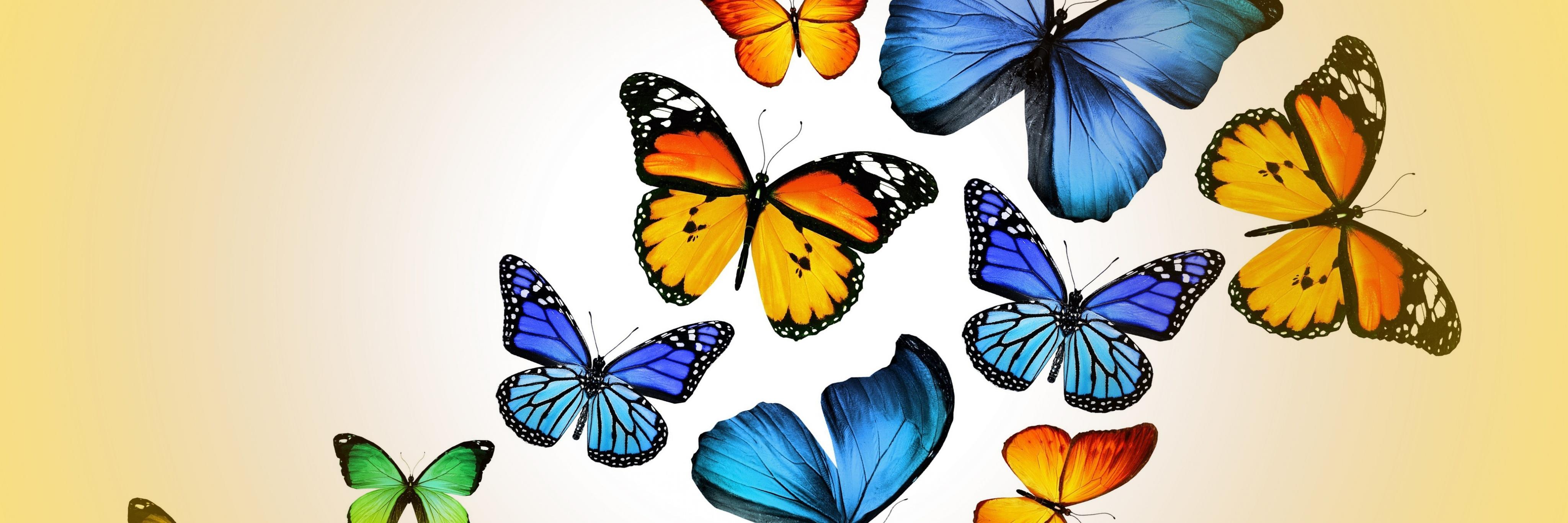 nessasarymakeup's profile banner image