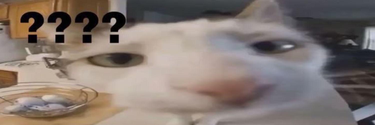 Novacy (⁠ ⁠ꈍ⁠ᴗ⁠ꈍ⁠) banner