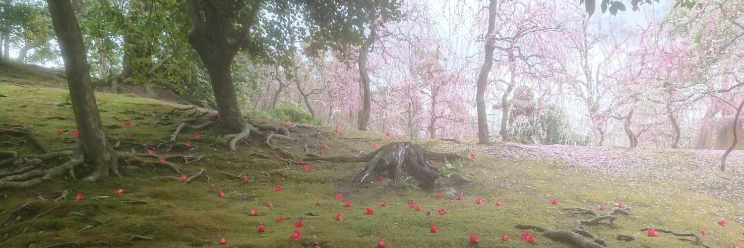 macopy44's profile banner image