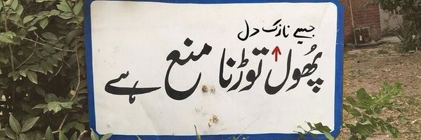 kaghazkephool Profile Banner