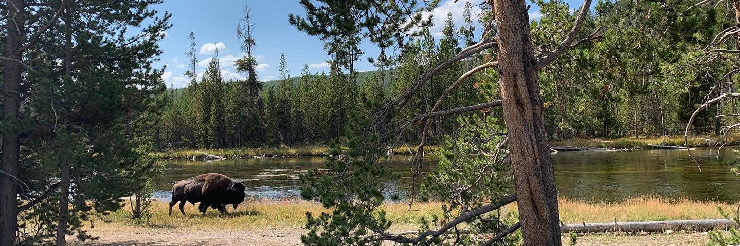 Joseph Miscimarra 🇺🇸 banner