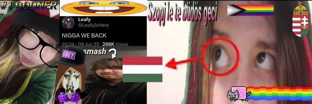 ⋆˚꩜.ᐟ Natiixlu⋆.˚ ⊹ ˖⋆˚★ banner