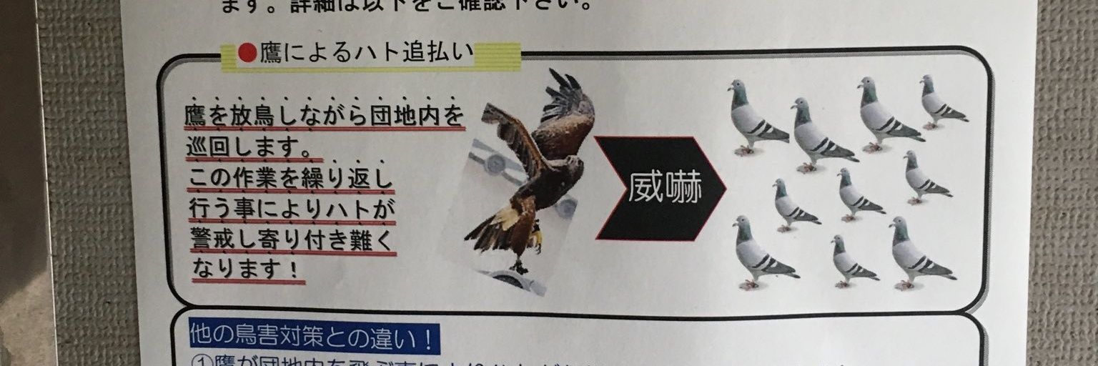 athlon_inside's profile banner image