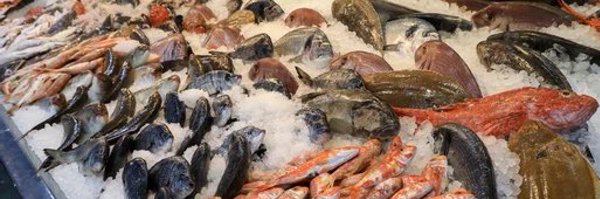 fishforchester Profile Banner