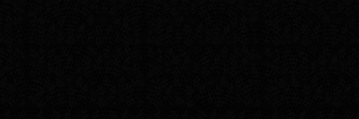 Ziz🗝️'s banner