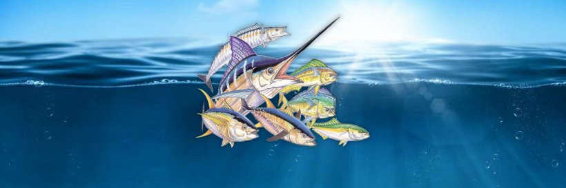 PSFCharters's profile banner image
