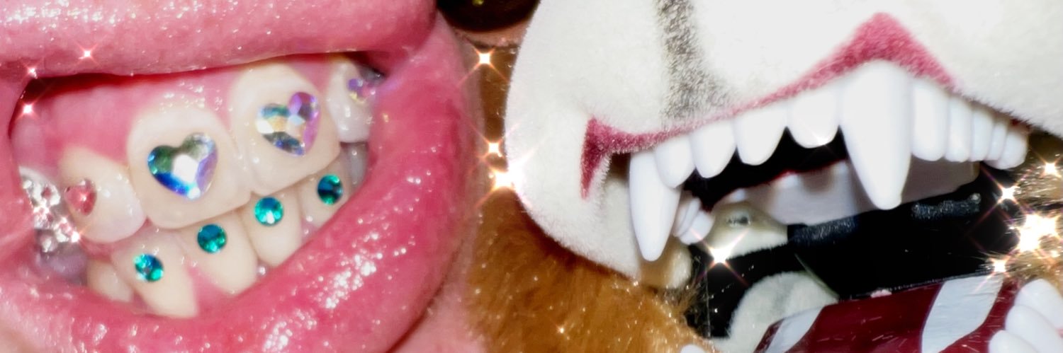 shuxyyyy's profile banner image