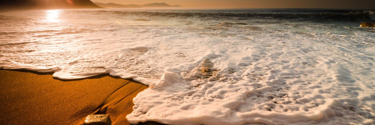 الطير المسافر banner