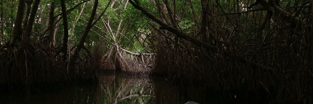 misteraasif's profile banner image