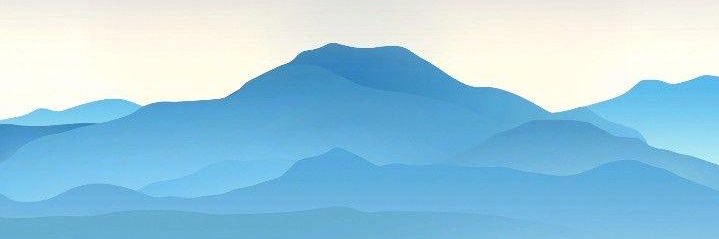 Optimistic Bear banner