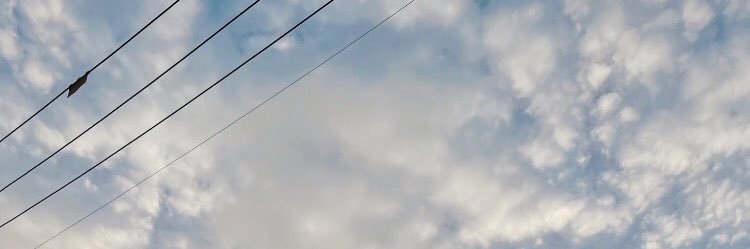 ⸝⸝- ̫ -⸝⸝ banner