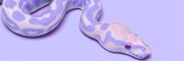aarylady Profile Banner