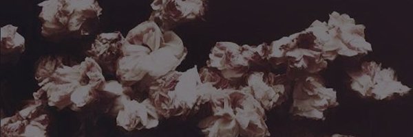 SeanPages Profile Banner