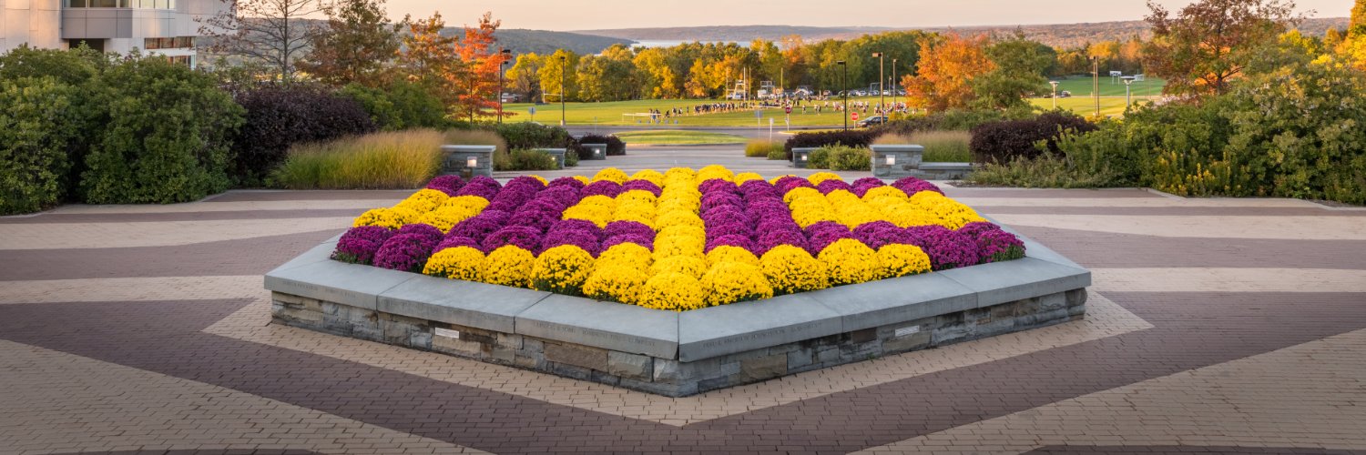 Ithaca College Alumni banner