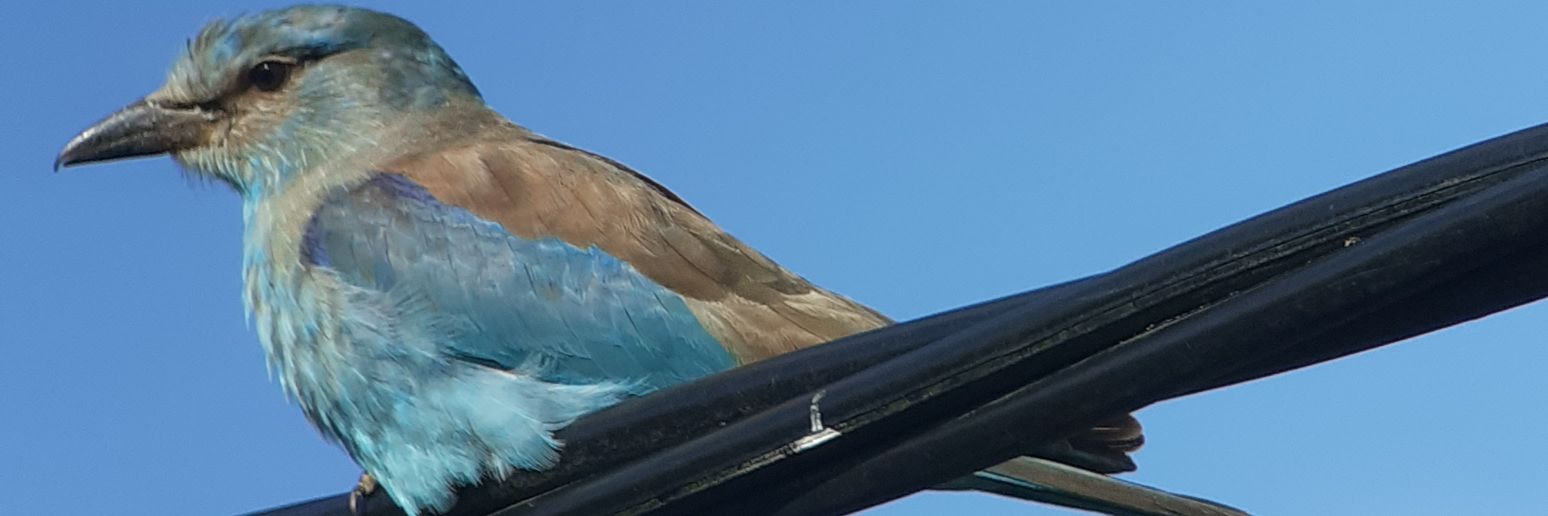 KevinOram6's profile banner image