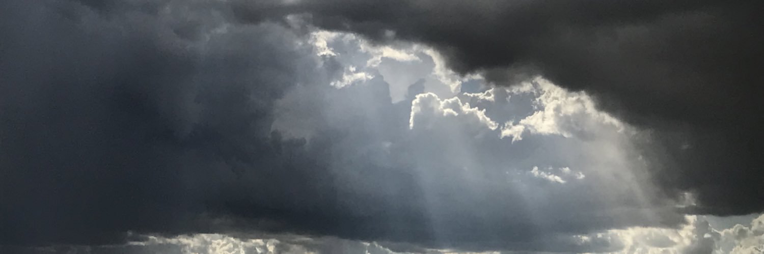 MichaelSummer77's profile banner image