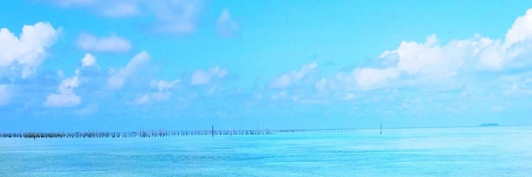 46Zmu's profile banner image