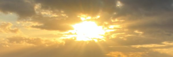 zionvea1 Profile Banner