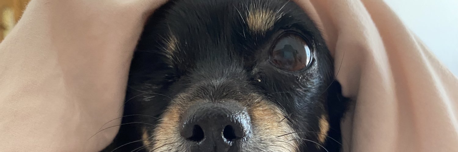 rrrrrbe_'s profile banner image