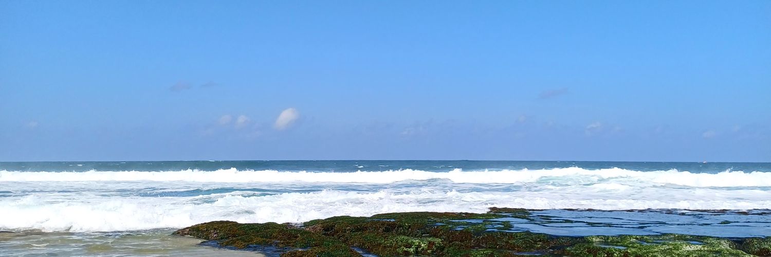hazelnut banner