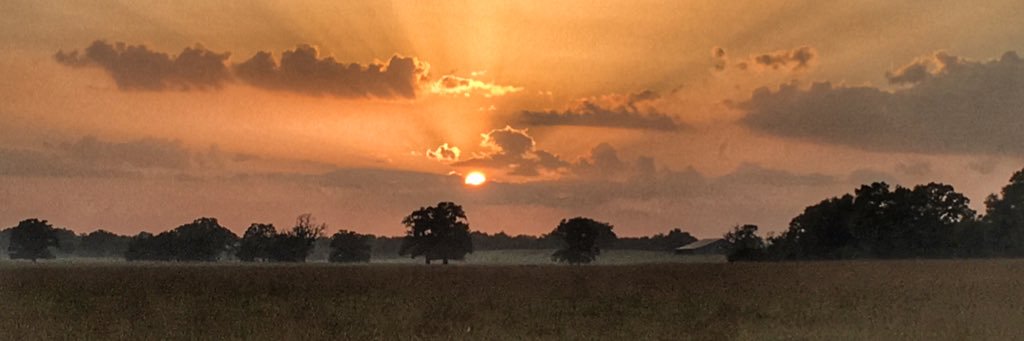 mrssquidley's profile banner image
