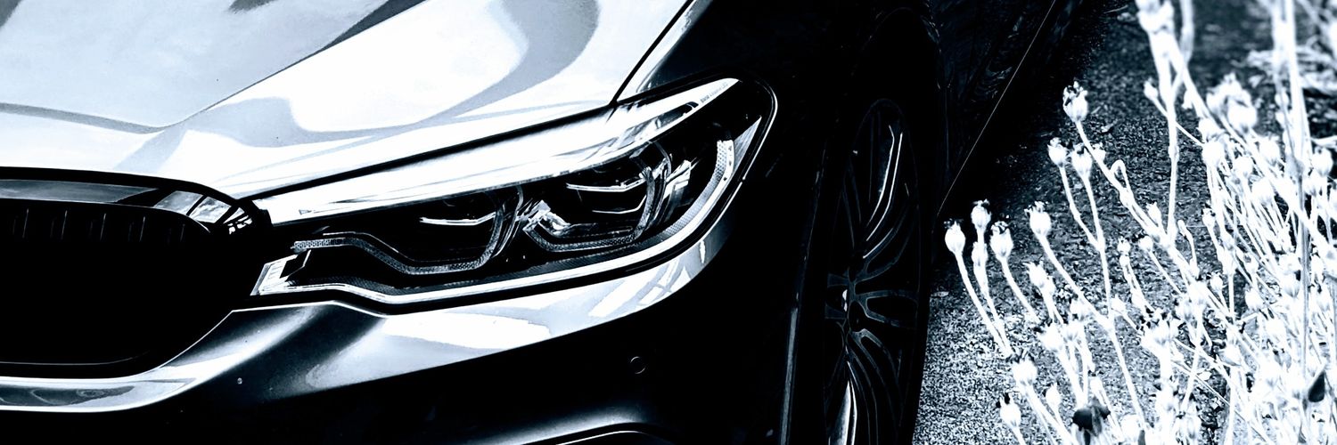 shrikecorp's profile banner image