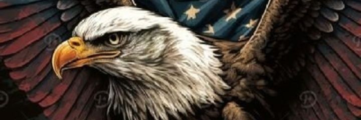 bananasdelsur's profile banner image