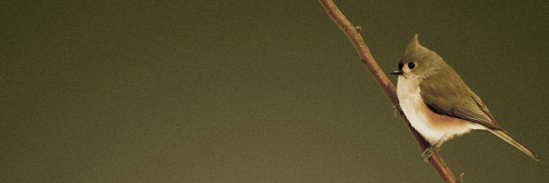 ynneimizeb's profile banner image