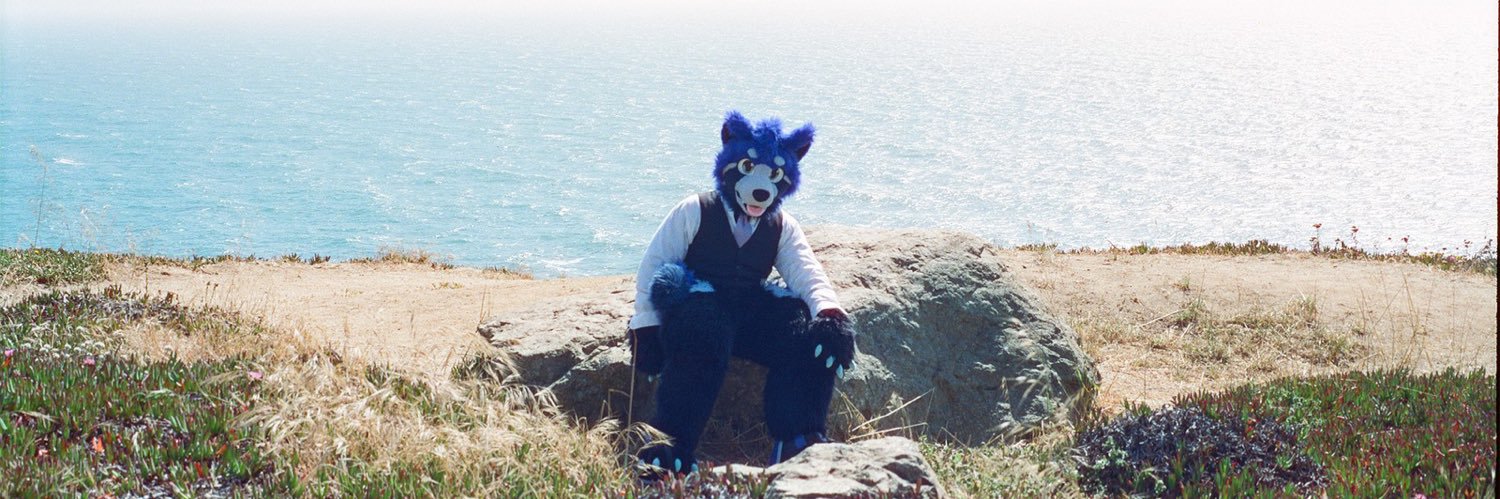 Ace Panda's banner