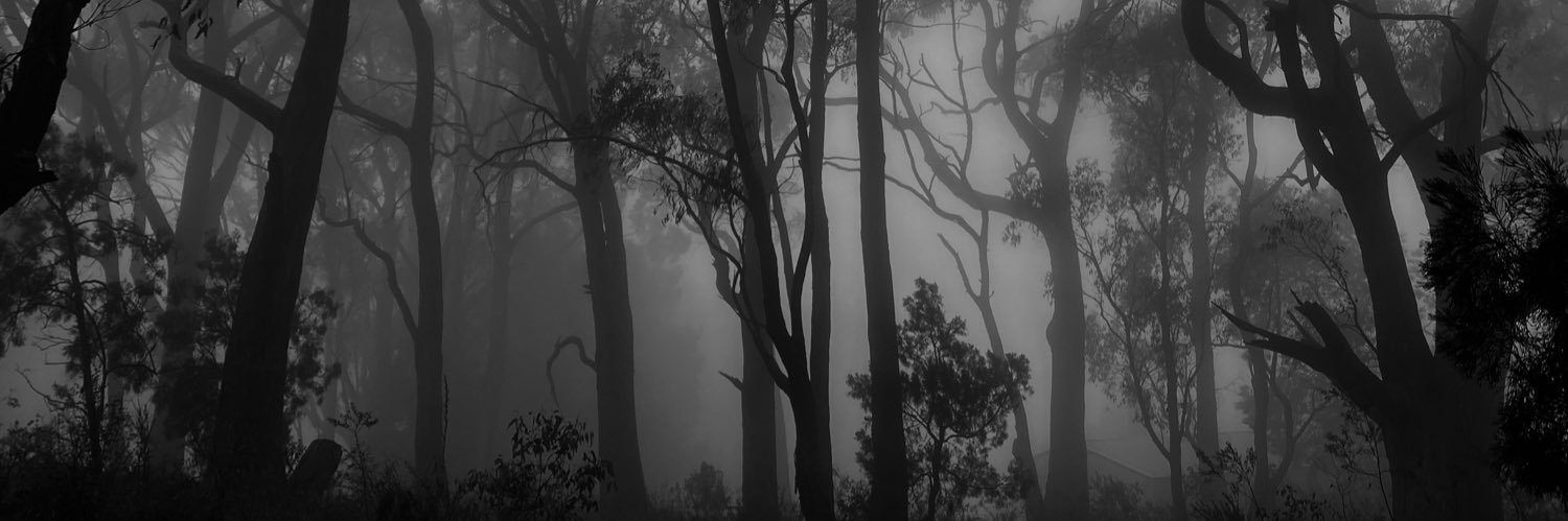 Dark and Empty's banner